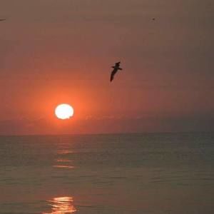 Meet your Posher, Eileen